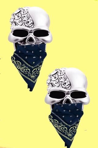Bandit Bling: A Stylish Twist on Skull Fashion