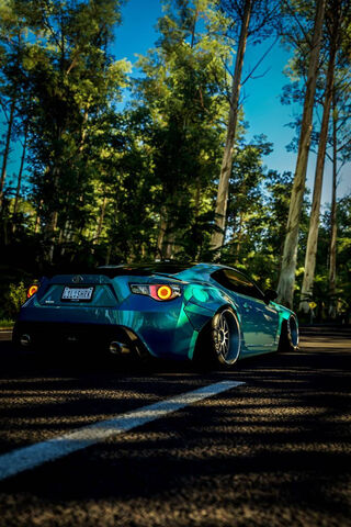 The Beauty of Speed: Ca..