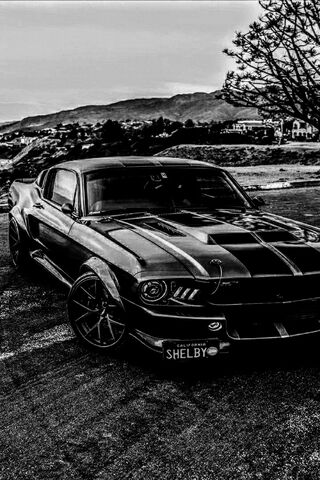 The Beast on Wheels: Crowd Killer