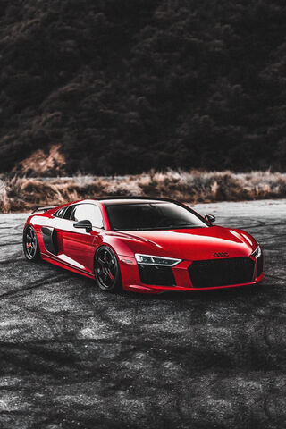 Red Racer: The Audi R8 in Action! 🚗🔥