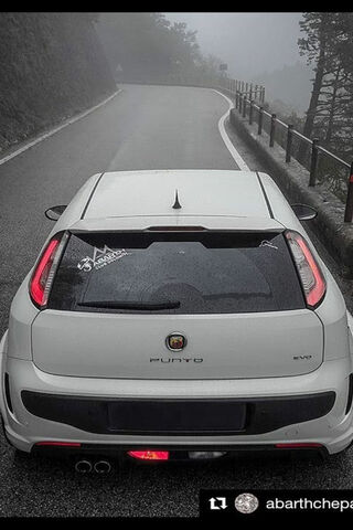 Fiat Punto: The Stylish Road Companion 🚗✨