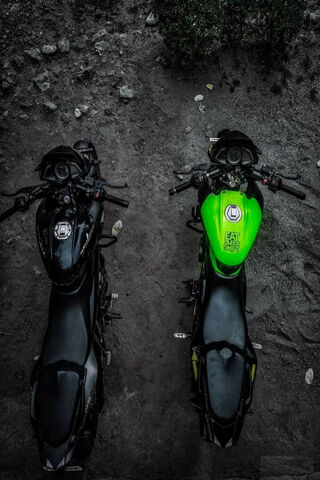 Riders' Dream: The Bold Duo 🏍️💨