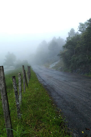 Whispers of Neblina: A Journey Through the Mist 🌫️🚶 ️