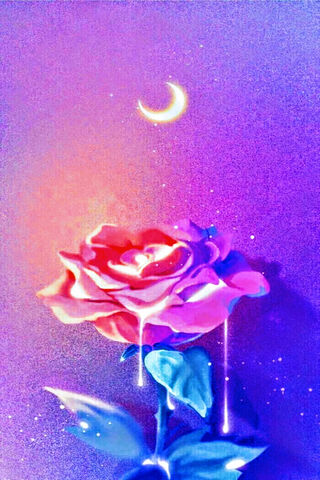 Mystical Bloom: The Enchantment of Purple Flo 🌙🌹