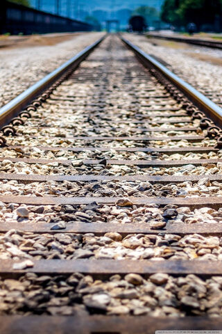 Journey on the Rails: A Path to Adventure 🚂✨