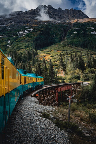 Journey Through Nature: The Train Adventure