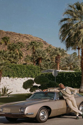 Tyler's Vintage Vibes 🚗🌴