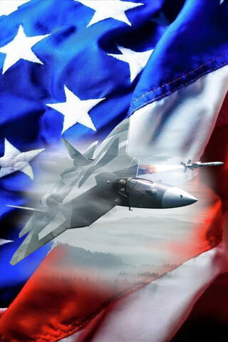 Soaring High: The Spirit of American Valor 🇺🇸✈️