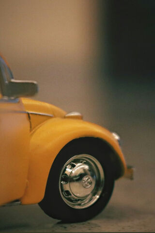 Vintage Beetle