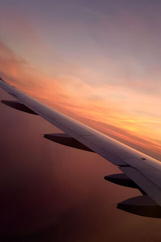 Skyward Serenity: A Winged Perspective 🌅✈️