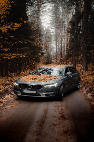 Volvo V70: Nature's Companion 🚗🍂