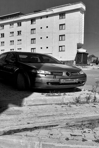 Megane: The Stylish Ride