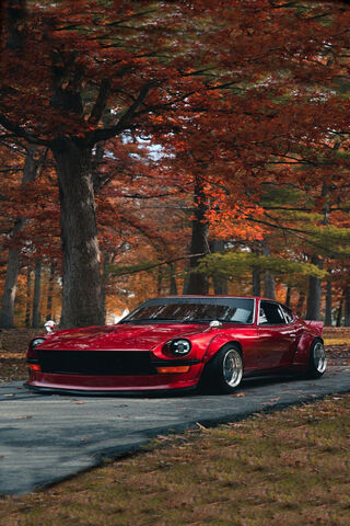 Classic Beauty: The Nissan Datsun in Autumn Splendor 🍂🚗