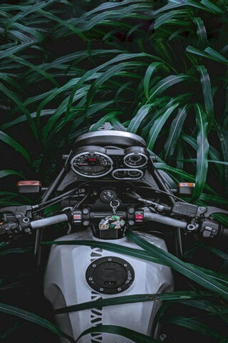 Royal Enfield Bullet