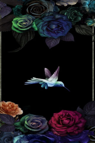 Whispers of Nature: The Enchanted Hummingbird 🌿✨
