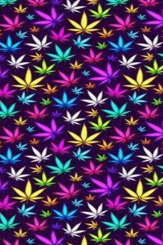 Vibrant Leafy Delight 🌈🍃