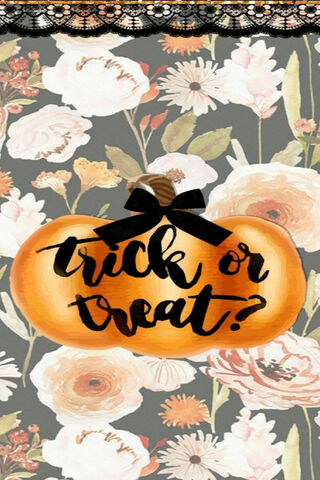 greeting card orange