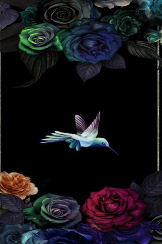 Whispers of Nature: The Enchanted Hummingbird 🌿✨