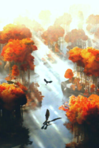Journey Through the Enchanted Forest