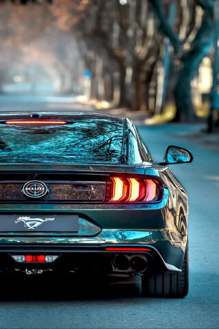 Mustang Shelby Gt