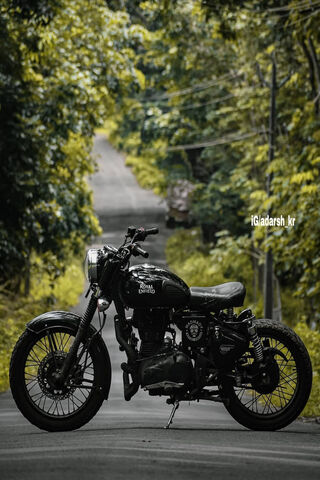 The Majestic Bullet: A Ride Through Nature 🌲🏍️