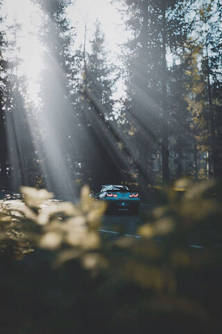 Corvette C7: A Symphony of Speed in Nature 🌲🏎️