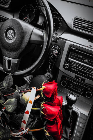 Romance on the Road: A Floral Journey 🌹🚗