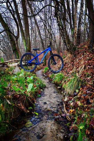 Dawid's Adventure: The Blue Trailblazer 🚴 ️🌲