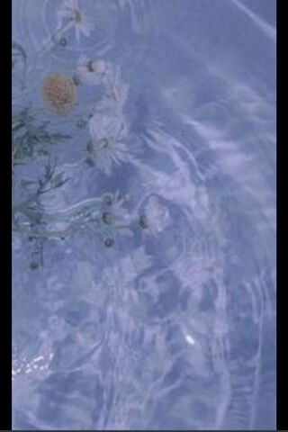 Elegance in Motion: The Ferrari 812