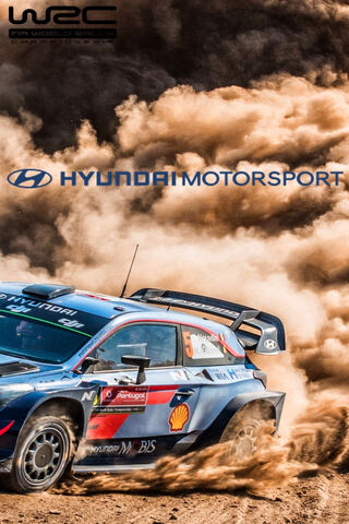 Hyundai's Thrilling Rally Adventure! 🚗💨