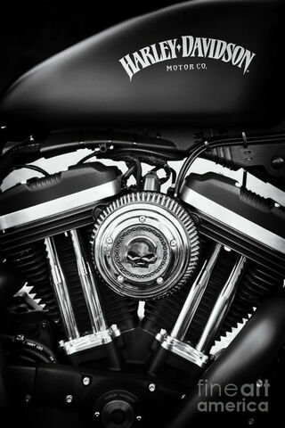 The Heart of Freedom: Harley-Davidson Power