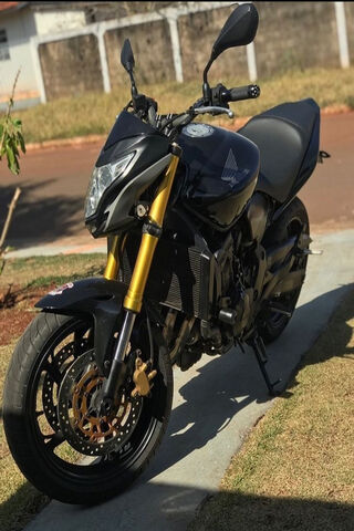 The Bold Honda Hornet: A Street Fighter's Dream 🏍️💨