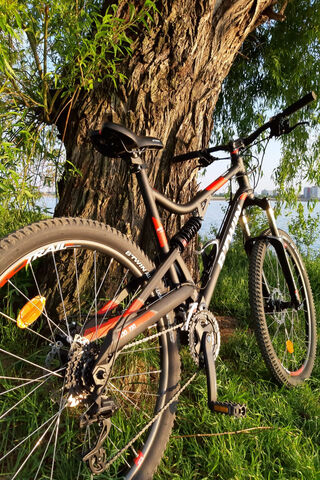 Mountain Adventure Awaits! 🚵 ️🌲