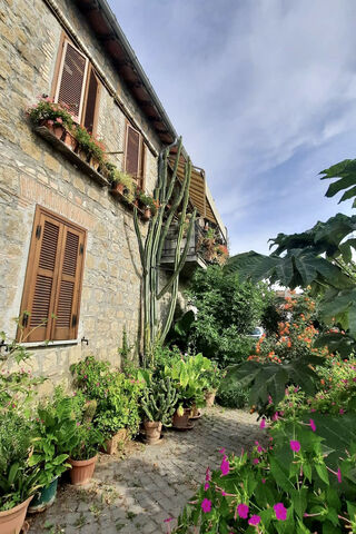 Charming Vibes of the Old City 🌼🏛️