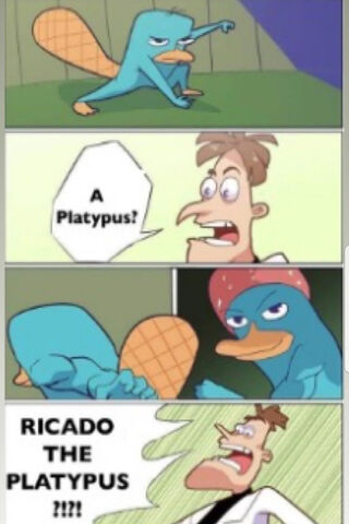 Meet Ricardo: The Quirky Platypus! 🦆✨