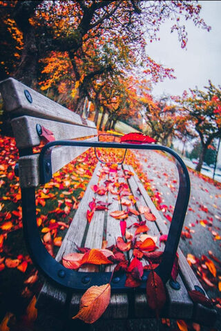 Autumn Serenity on the ..