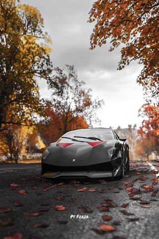 HD wallpaper: Lamborghini Sesto Elemento Concept, lamborghini sesto  supercar | Wallpaper Flare