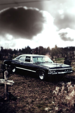 The Legendary Impala: A..
