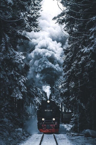 Journey Through the Winter Woods 🚂❄️