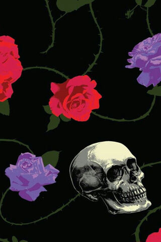 Gothic Rose Elegance 🌹💀