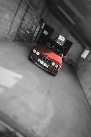 Classic Charm: The BMW E30 in Its Element 🚗❤️