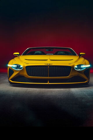 The Golden Elegance: Bentley Bacalar Unleashed ✨🚗