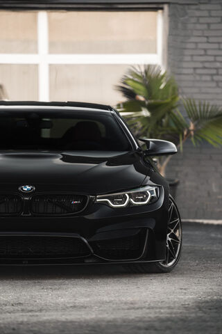 Unleashing Power: The B..