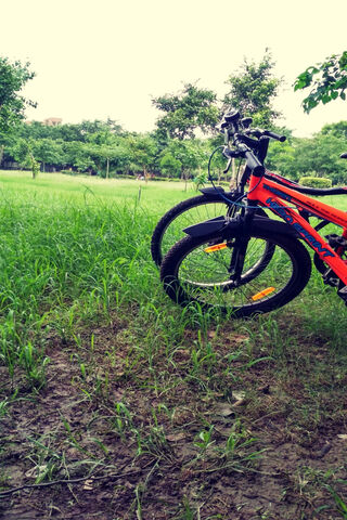 Adventure Awaits: The Cycle Journey 🚴 🌿