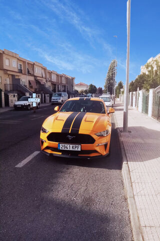 Vibrant Streets: The Bold Mustang