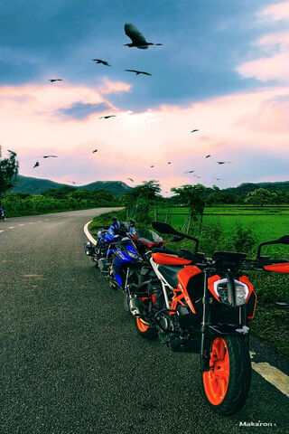 Duke 390: The Thrill of the Open Road 🏍️✨