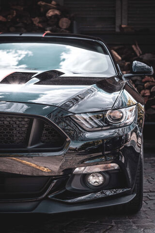 Roaring Elegance: The Ford Mustang