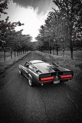 Classic Power: The 1967 GT500-E