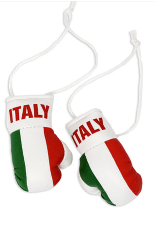 Tiny Champions: Italy's Spirit in Every Punch! 🇮🇹🥊