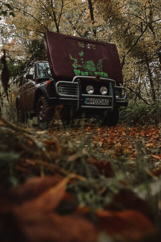 Lada Niva: The Adventurer's Companion 🚙🍂